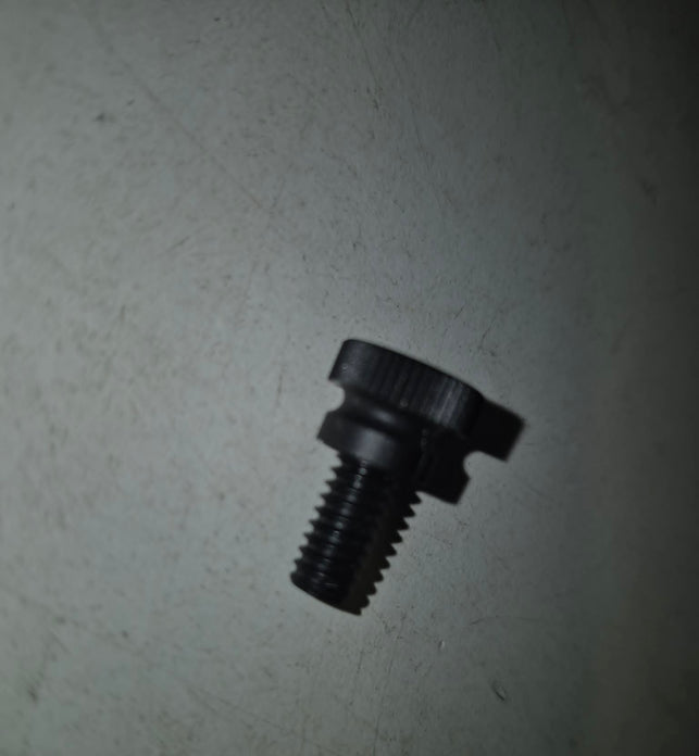 Lock Screw for Trigger